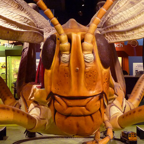 Making Models. Courtesy of Museum of Science 