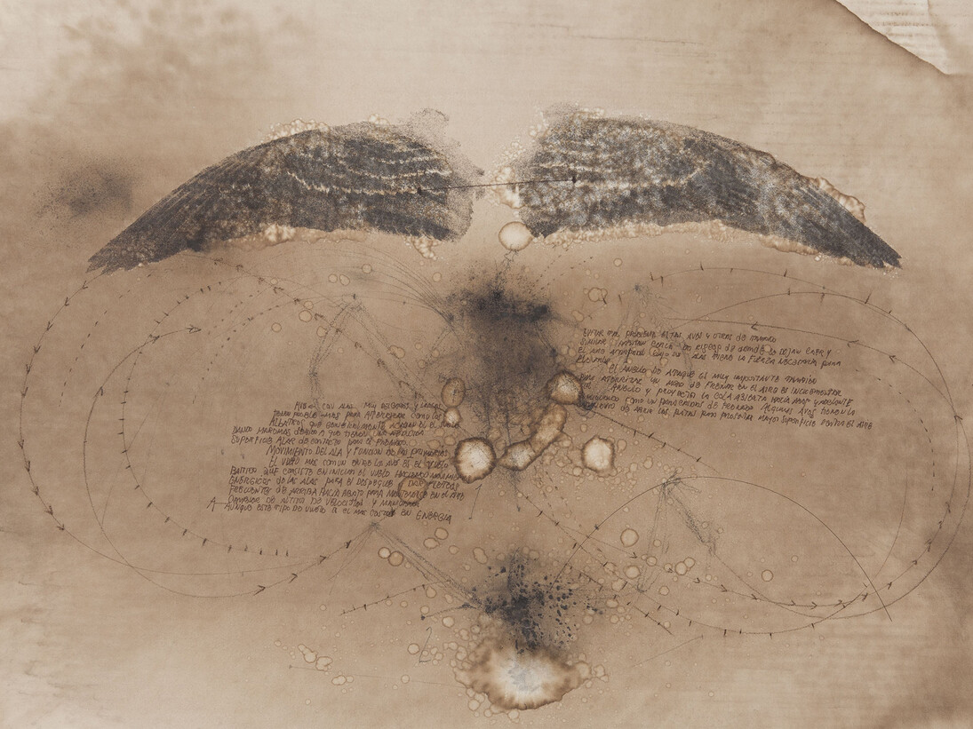 Courtesy Ricardo Brey & Galerie Nathalie Obadia Paris / Brussels © We Document Art