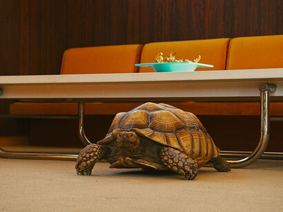 Ben Thorp Brown. Courtesy of Jeu de Paume
