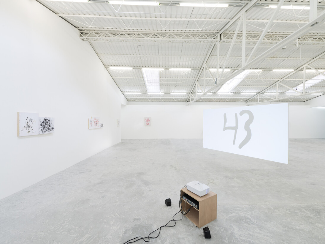 Tercerunquinto, Exhibition view. Courtesy of Proyectos Monclova