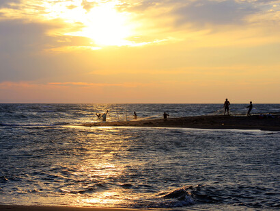 The setting for the main event of Green Culture