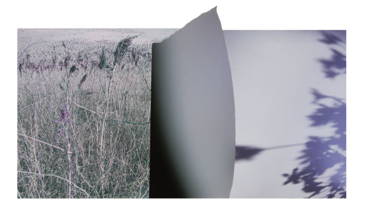 Lineations 2. Courtesy of Yancey Richardson Gallery