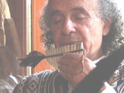 Tito La Rosa