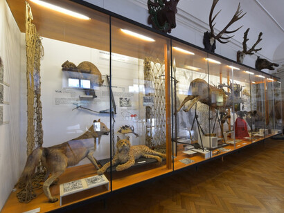 Game Keeping. Courtesy of National Museum of Agriculture