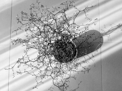 La conciencia futura será «ecológica» o no será