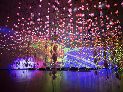 Pipilotti Rist. Courtesy of MFAH