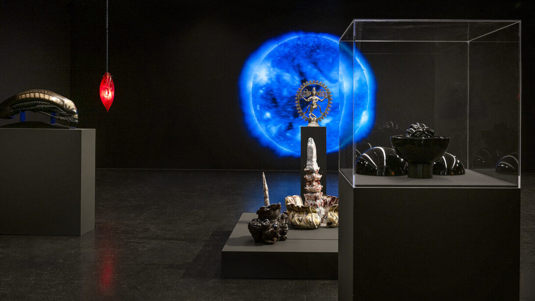 The world without us, ausstellungsansicht. Mit freundlicher genehmigung des Lentos Kunstmuseums