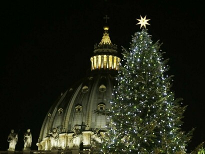 L'albero di Natale del Vaticano