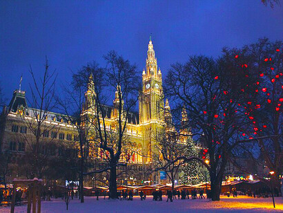 The Vienna Christmas market, established in 1764, holds the title of the largest Christmas market in Austria