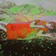 Annelies Štrba. Courtesy of Fabian & Claude Walter Galerie