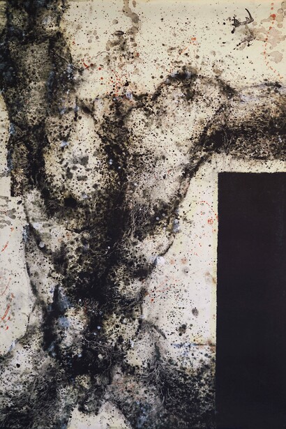 Stare, Ferle. Courtesy of Z Gallery Arts