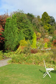 Nel giardino e nel bosco il tripudio primaverile di azalee, camelie e rododendri in autunno lascia il posto ai colori degli arbusti, foto Enzo Valenti