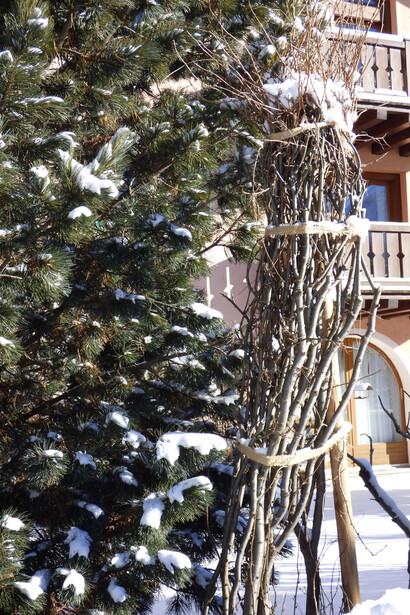 Protezione dalla neve