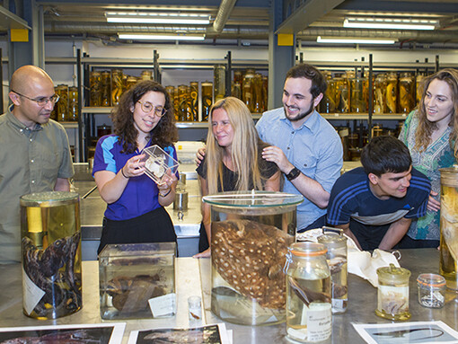 Behind-the-Scenes Tour: Spirit Collection. Courtesy of Natural History Museum