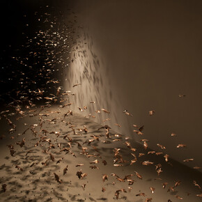 Federico Gori, Come afferrare il vento, 2015, incisioni e ossidazioni naturali su rame, lenza, acciao, piombo, dimensioni ambientali, veduta dell’installazione, Palazzo Fabroni, Arti Visive Contemporanee, Pistoia 