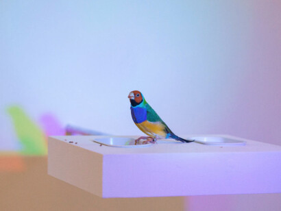Zip'Up, Exhibition view. Courtesy of Zipper Galeria