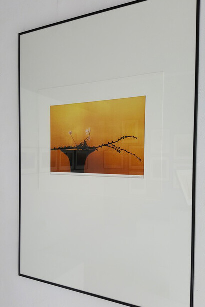 Éloge de l’ombre. Courtesy of Galerie Marie-Robin