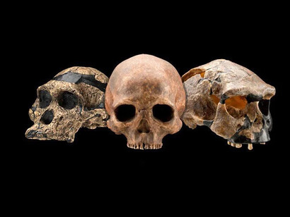 A dos décadas recorridas del siglo XXI, en términos de la organización de nuestras relaciones humanas, vemos una intensificación del egoísmo; un aumento en la desigualdad, en la avaricia, y un consumismo vano individual y tribal