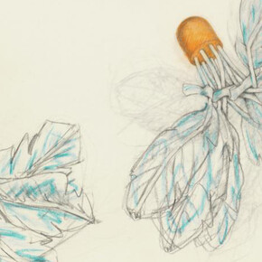 Claes Oldenburg with Coosje van Bruggen. Courtesy of Denver Art Museum