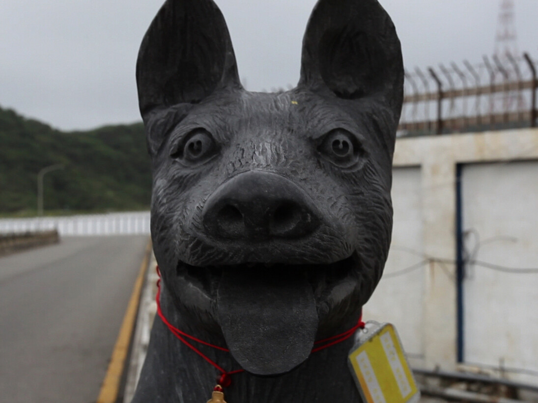 Chi-Yu Wu, Dog