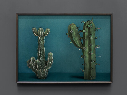 Mario Testino, Cactus (V), 2020. Courtesy of Hamiltons Gallery 