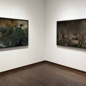 Nick Brandt. This Empty World. Courtesy of Fahey/Klein Gallery