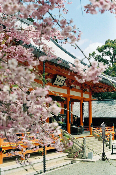 Templo tradicional en Osaka, Japón