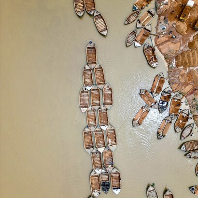 Le Mali est l'un des principaux producteurs de mangues d'Afrique de l'Ouest