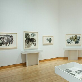 Robert Rauschenberg, Exhibition view. Courtesy of WCMA
