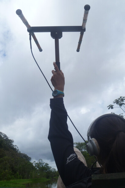 Tras la pista del jaguar