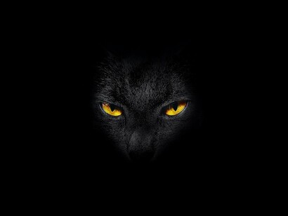 As superstições em torno dos gatos pretos remonta à Idade Média