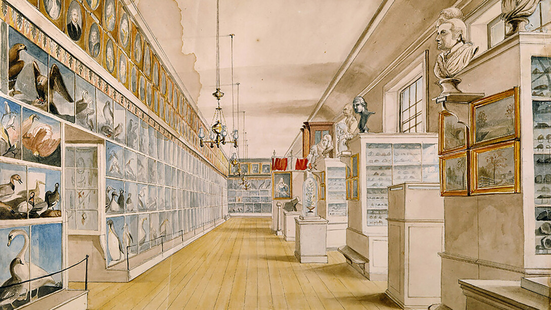 Charles Willson Peale, 1822, El salón largo; interior del salón frontal, Museo de Filadelfia de Peale 