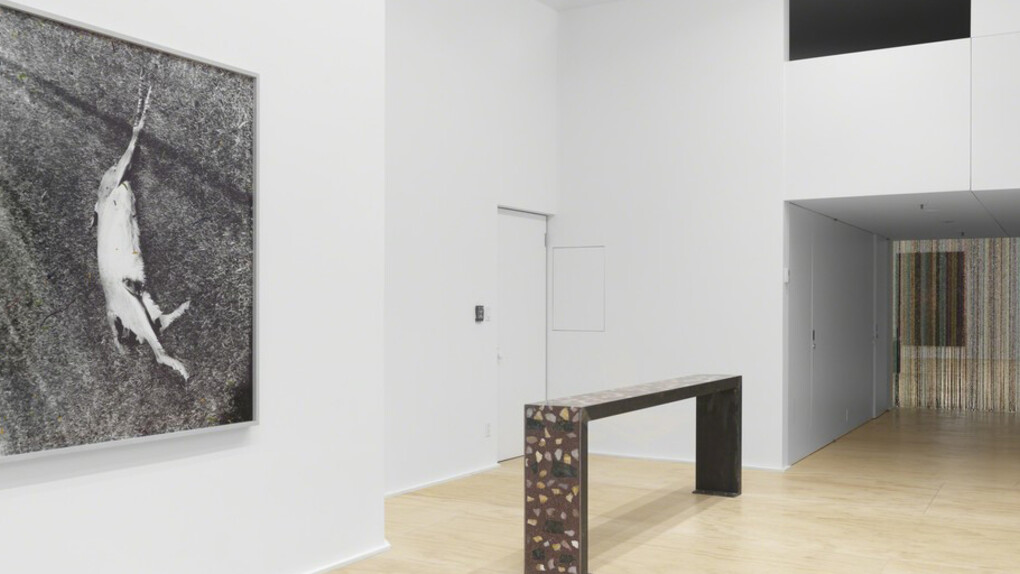 Sam Falls, Exhibition view. Courtesy of Eva Presenhuber
