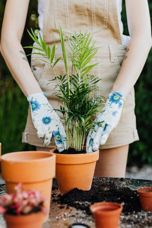 A close-up photo shows a person planting a small plant in a pot, with hands in the soil and gardening tools nearby