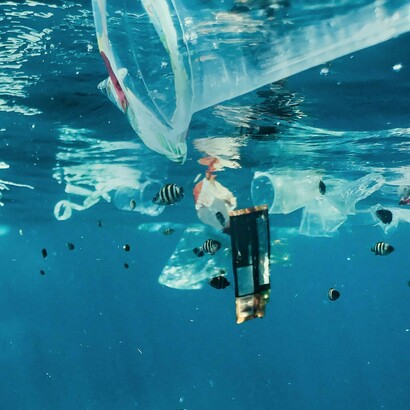 The ecological crisis is immediate and dire