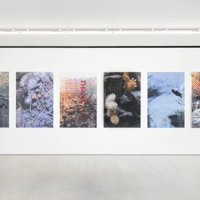 Hugh Scott-Douglas. Courtesy of Blum & Poe Gallery
