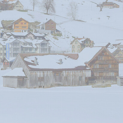 Ich bin in Gonten im Appenzell Innerrhoden auf einem Bauernhof aufgewachsen