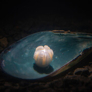 Future Generation Art Prize 2019. Courtesy of PinchukArtCentre