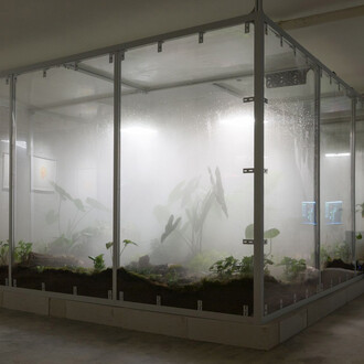 Zheng Mahler, Mushroom clouds, exhibition view. Courtesy of PHD Group