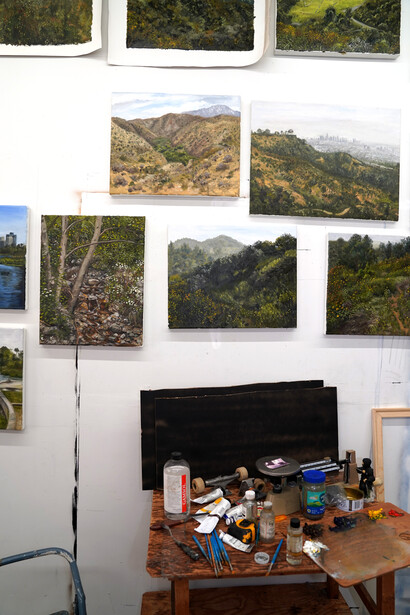 Andrew Durgin-Barnes, Lizardscapes, exhibition view. Courtesy of Good Mother Gallery