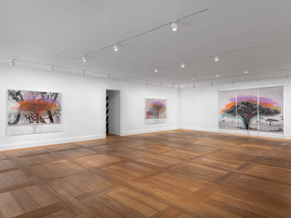Charles Gaines, Ciphering african acacias and supreme court decisions, exhibition view. Courtesy of Hauser & Wirth Gallery