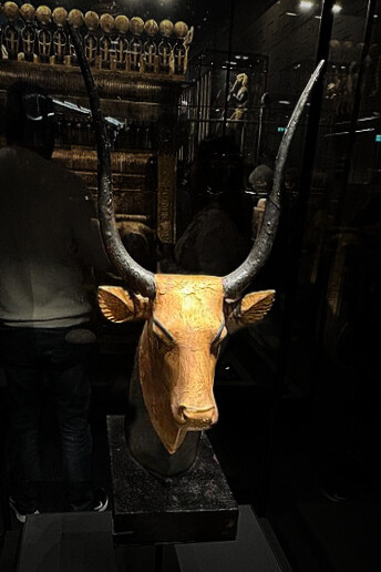Gilded wood and bronze head of the Mehet-Weret cow goddess (or celestial cow) from the tomb of Tutankhamun, on display at the Egyptian Museum in Cairo, Egypt