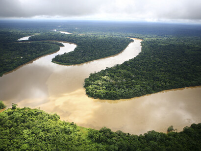 Veduta aerea della foresta 