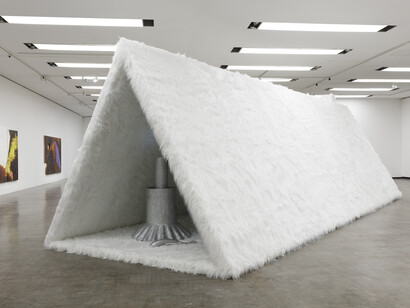 Guan Xiao, Teenager, exhibition view. Courtesy of Kunsthalle Wien