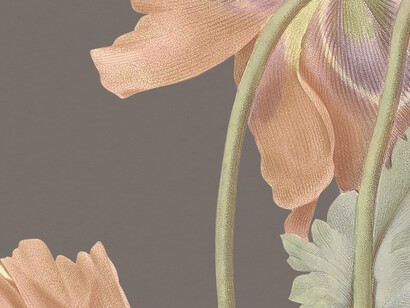 Vintage floral background adorned with a gloxinia flower illustration, creatively remixed from public domain artworks