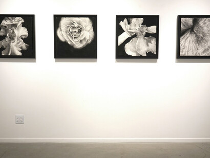 Joseph Stashkevetch. Courtesy of Von Lintel Gallery