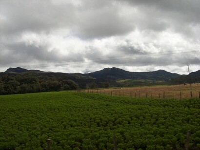 Lejos de ser un objeto, lo que denominamos naturaleza es un sujeto, incluso un sujeto de derechos, los derechos de la naturaleza.  Cultivo de hortalizas en Tierradentro, nororiente del departamento del Cauca, en Colombia