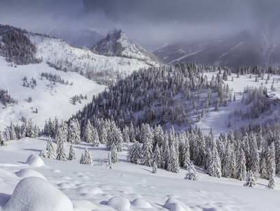 La nieve había cubierto ya todo el valle cuando la criatura vino al mundo
