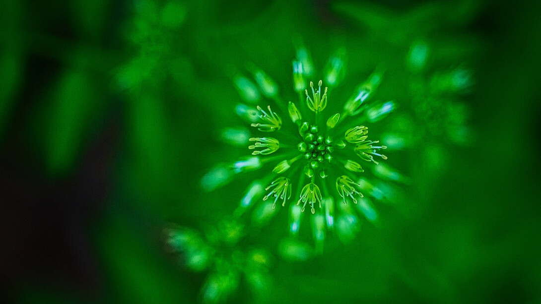 We have been gifted from the Universe natural means of dealing with the imbalance and we’ve always survived