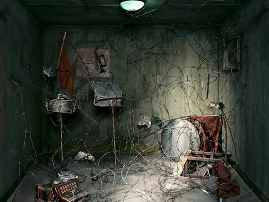 Chen Wei, Cage or Sonata, 2008